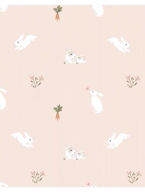 ISO KYTE BABY RABBIT TODDLER OR YOUTH BLANKET IN BLUSH